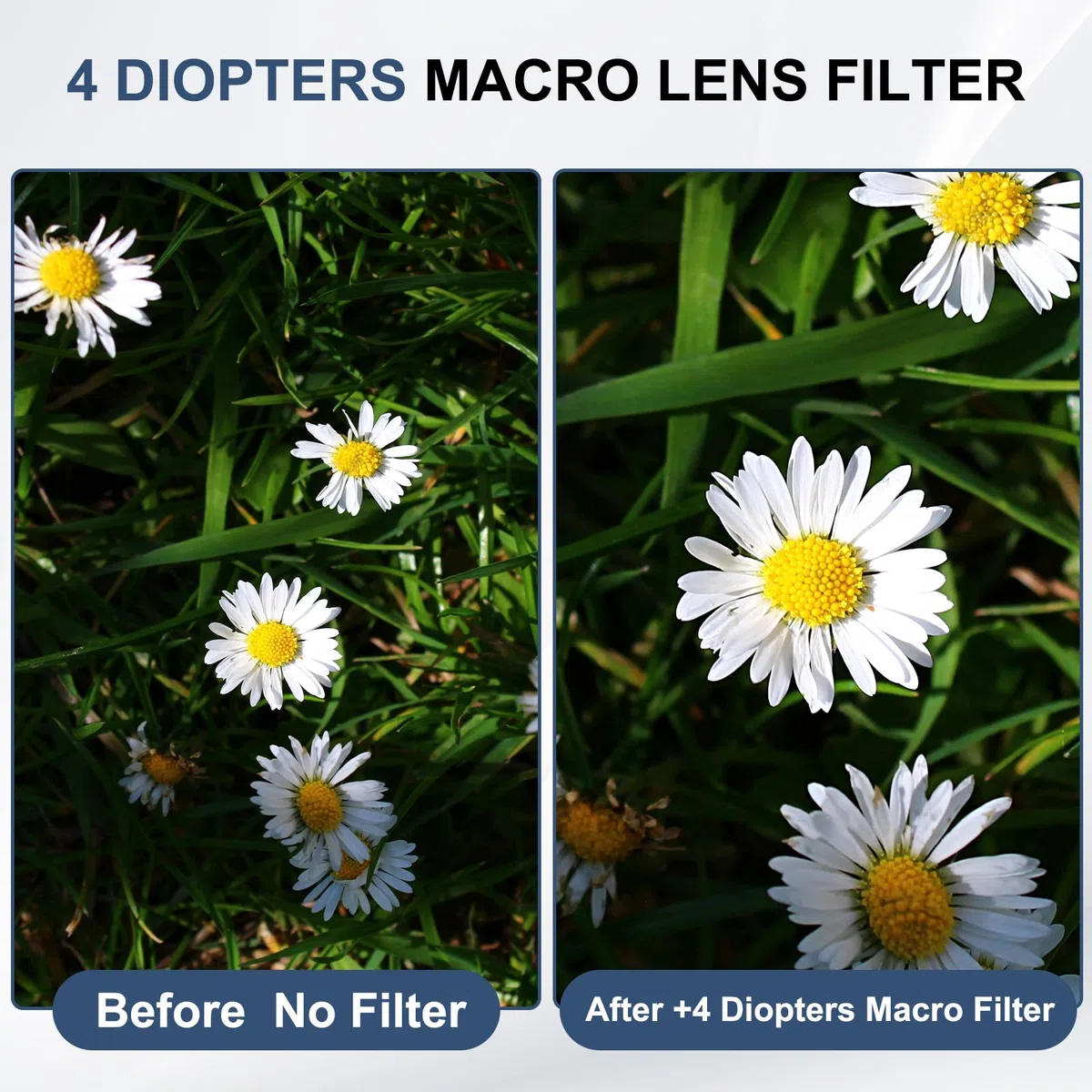 PATIKIL 82mm Nahfilter Makroobjektivfilter +4 Dioptrien Vergrößerungsnahlinsen mit Objektivdeckel Kamera Schwarz